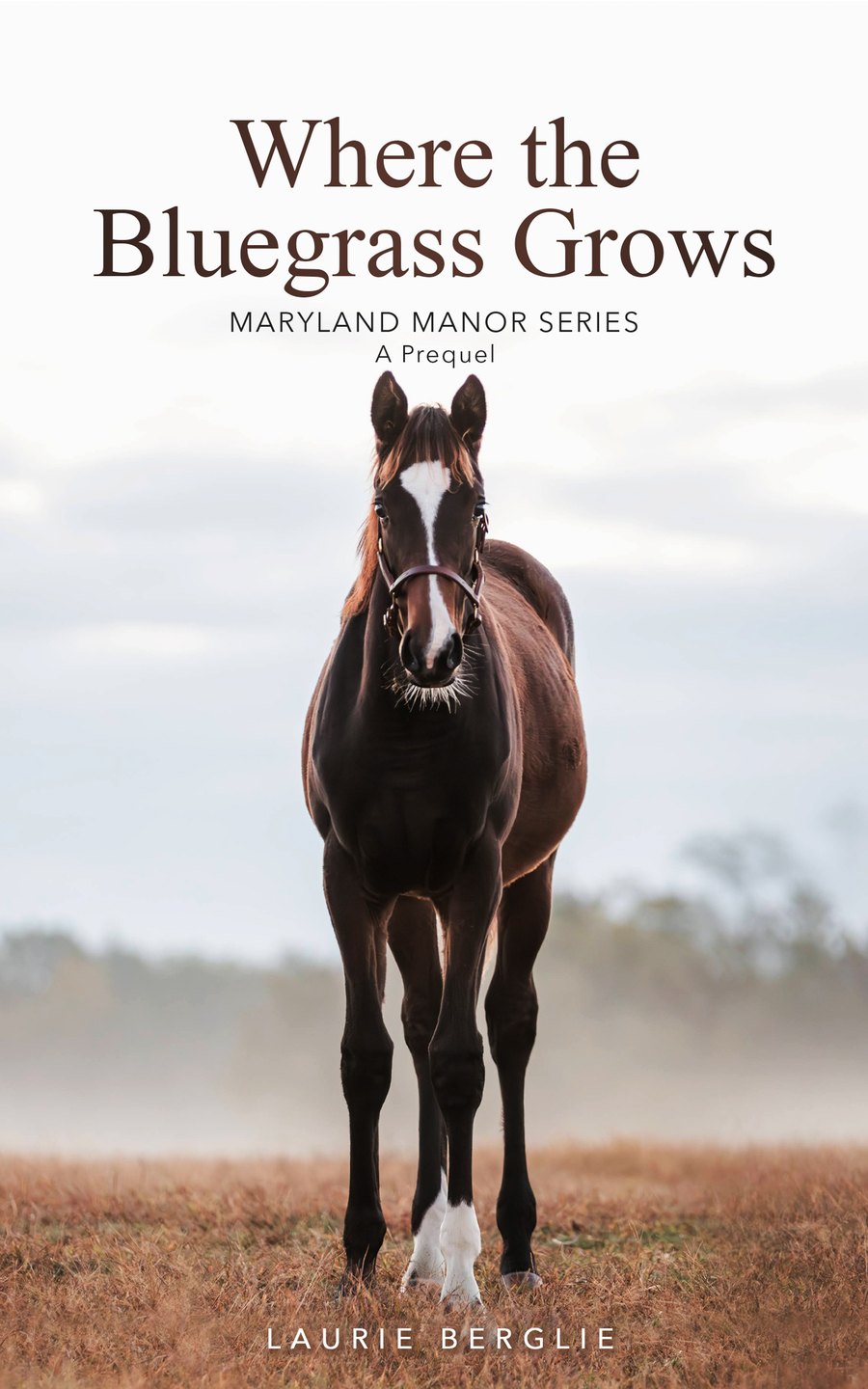 Where the Bluegrass Grows by Laurie Berglie, equestrian romance book cover