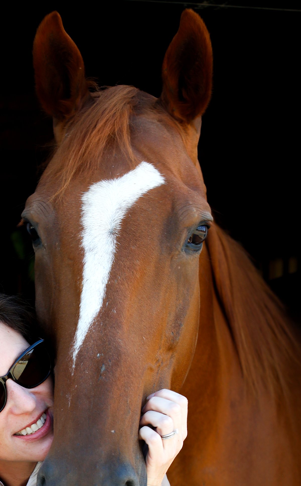 Close-up of a chestnut horse with a white blaze looking over a stall door